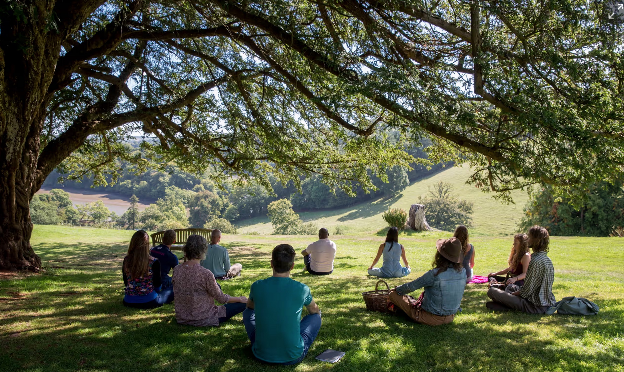 Serenity Meditation Session