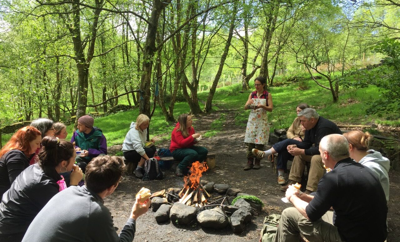 Harmony in Nature Retreat