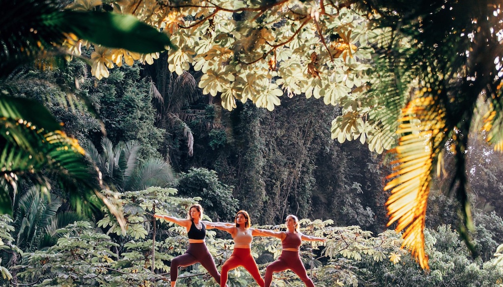 Holistic Wellness Retreat